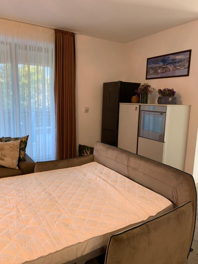 Edelweiss Apartments Silver Resort بويانا براسوف المظهر الخارجي الصورة